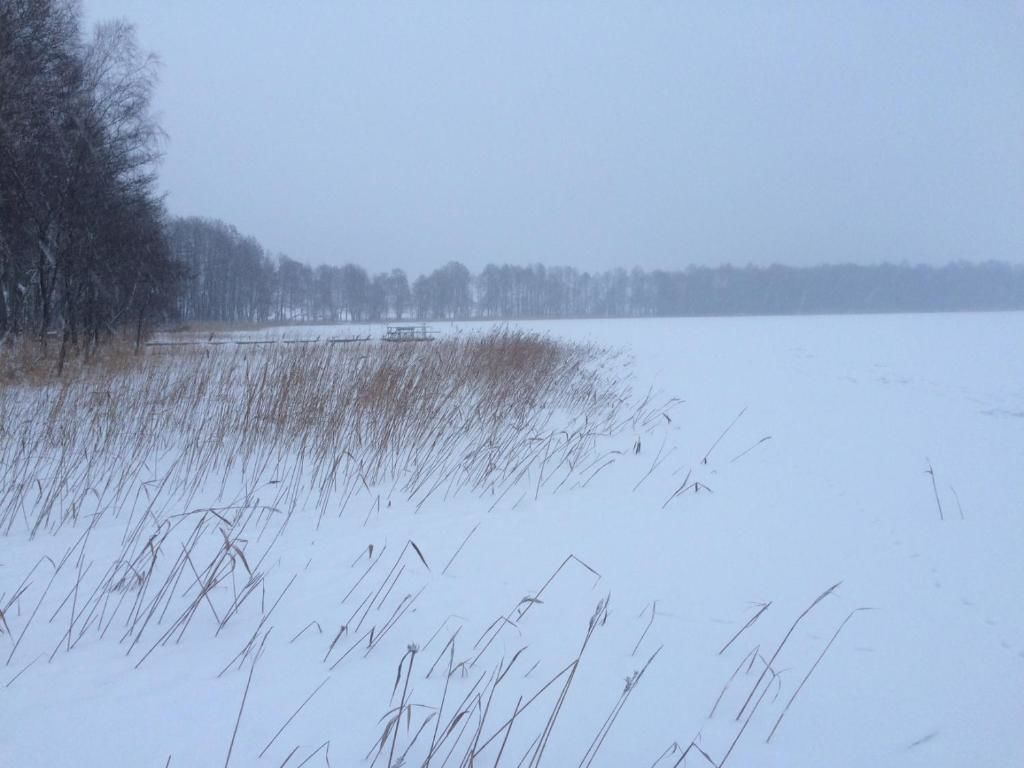 Дома для отпуска Baublys Lake Lodge Viktarinas